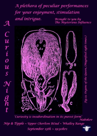 Poster for A Curious Night